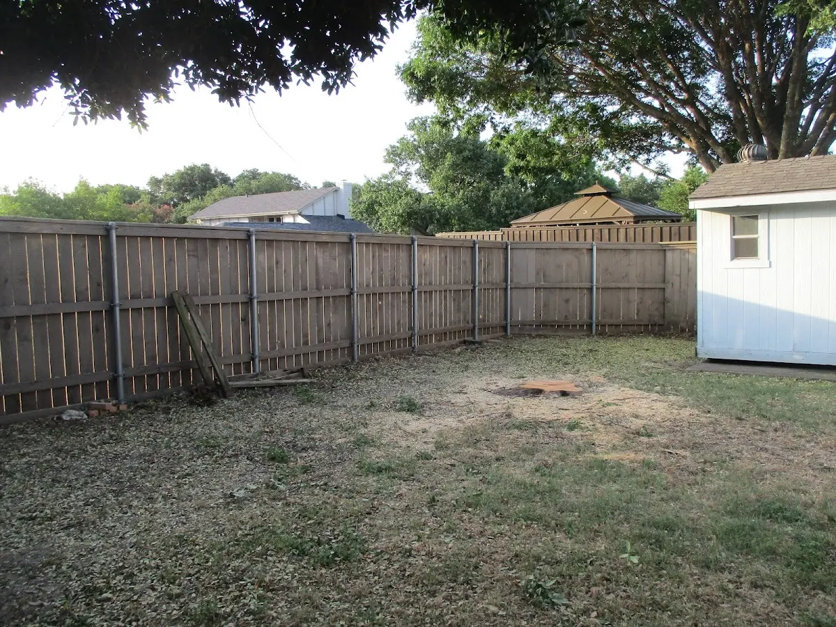 Cleared yard after professional tree removal in Adamstown